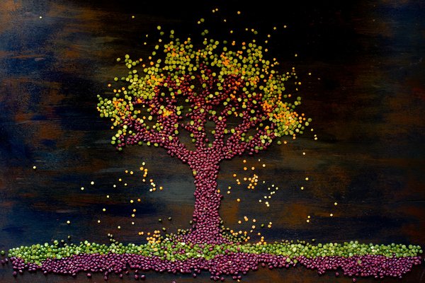 Comment intégrer des options de plats véganes dans un restaurant de cuisine française?